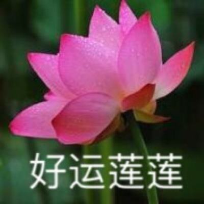皇权征战(暂未上线)v1.0.0 官方安卓版